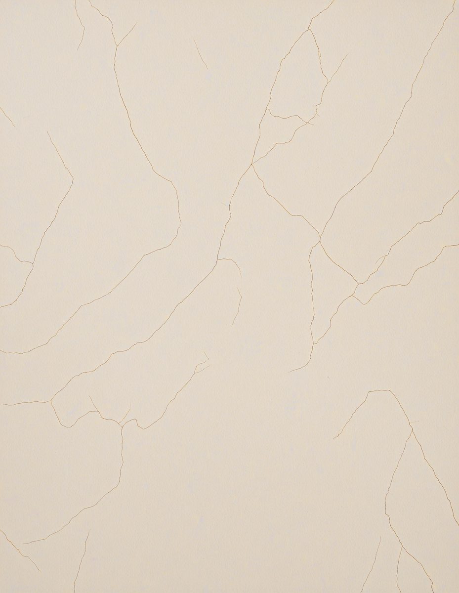 freepik__ivory-marble-color-ivory-marble-painted-wall__12440_251104191745_00001.png