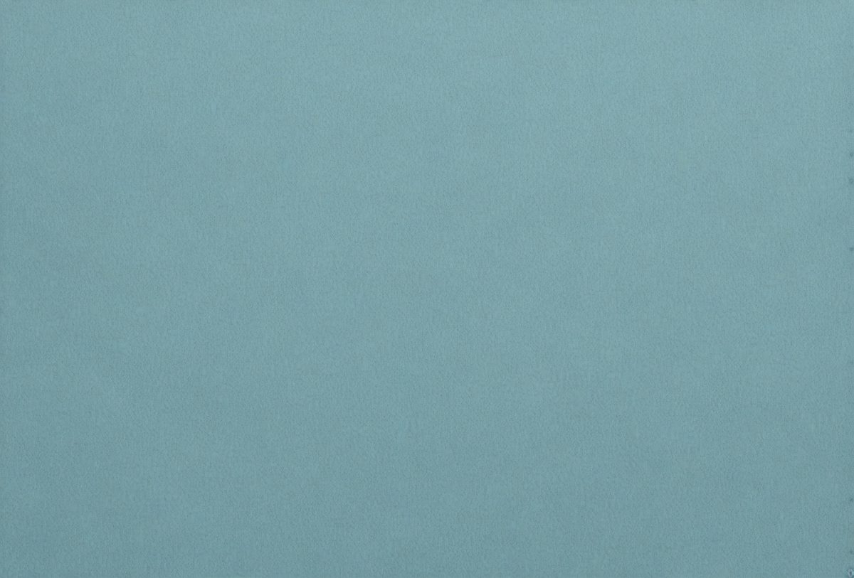 freepik__macro-shot-of-light-cadet-blue-suede-velvet-textur__24719_250924182114_00001.png