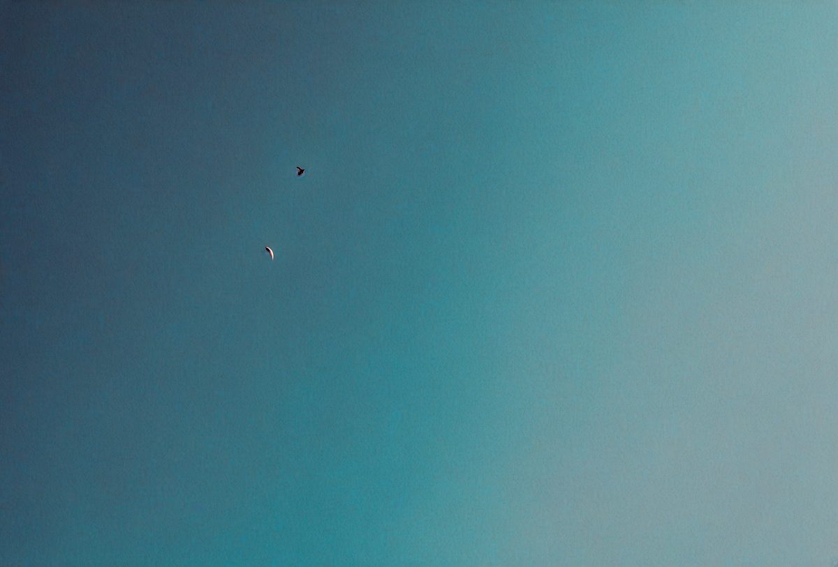 freepik__minimal-gradient-blend-from-cadet-blue-to-teal-ton__78305_250924183133_00001.png