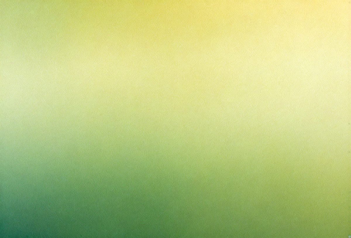 freepik__misty-yellow-green-gradient-vibrant-color-palette__62602_250508213009_Green_00001.png
