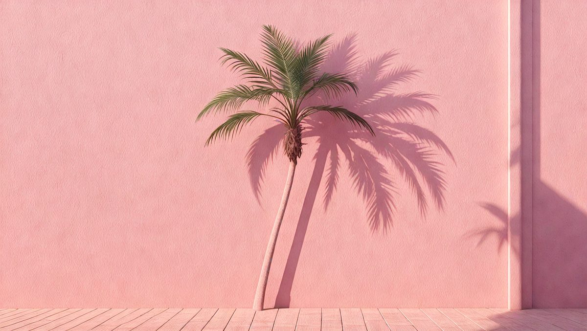freepik__modern-flat-a-stark-shadow-of-a-palm-tree-against-__97313_250513174936_pink_00001.png