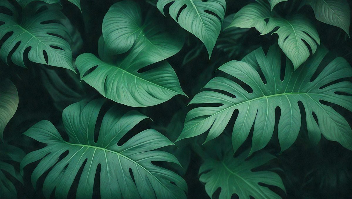 freepik__nature-leaves-green-background-in-garden-at-spring__63540_250509010144_Green_00001.png