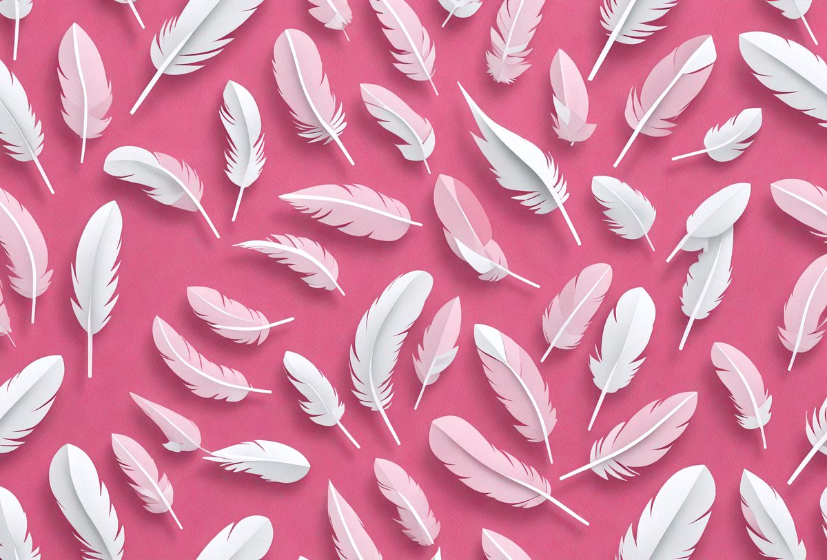 freepik__papercut-illustration-abstract-white-feathers-fall__96683_250514023309_pink_00001.png