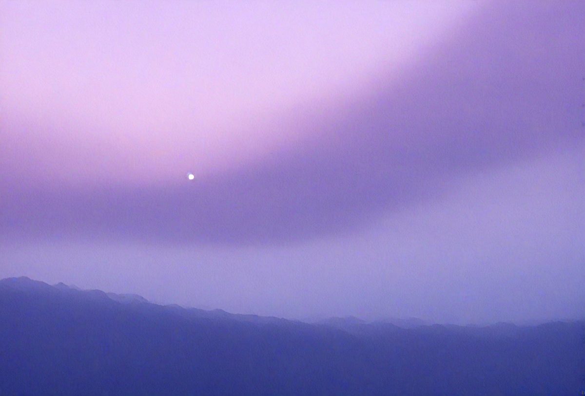 #165495