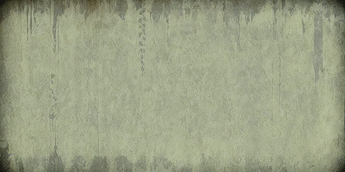 freepik__photo-posted-to-myspace-in-2007-grunge-background-__61809_250509081752_Green_00001.png