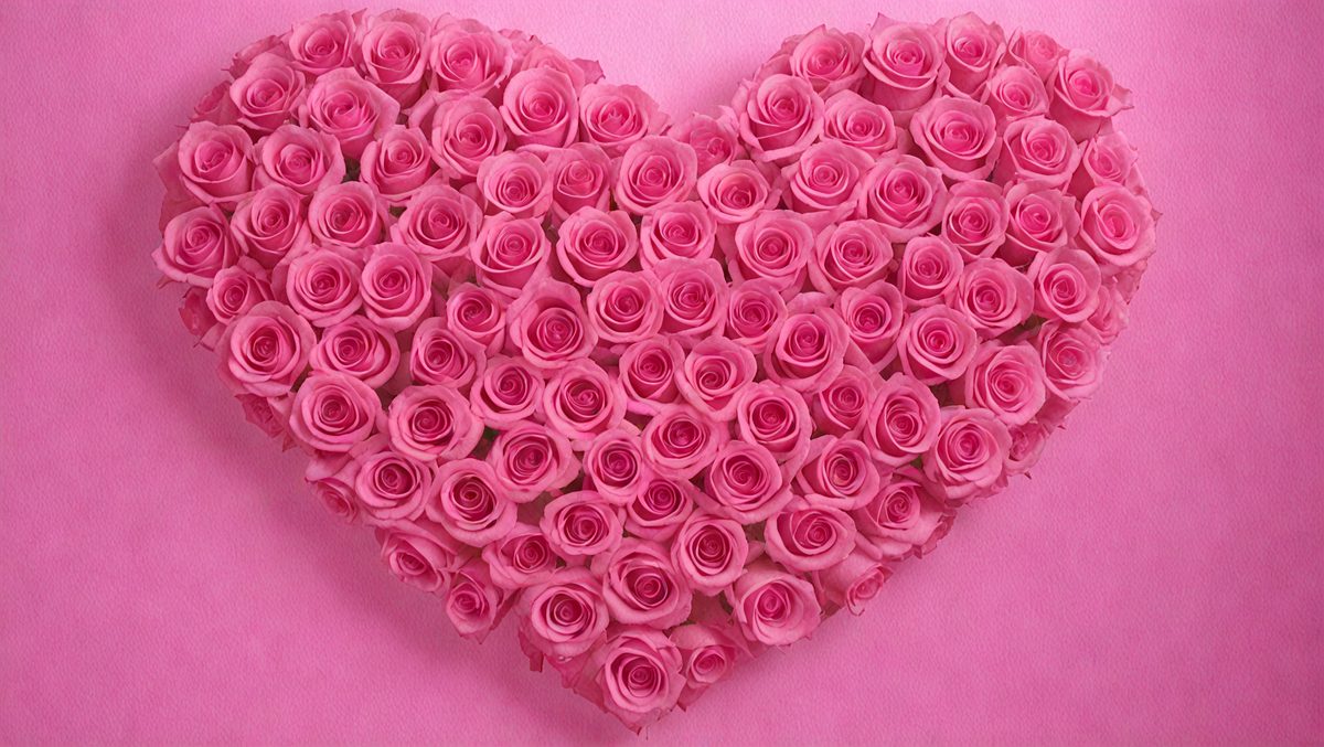 freepik__photo-posted-to-myspace-in-2007-pink-roses-arrange__59820_250514200024_pink_00001.png
