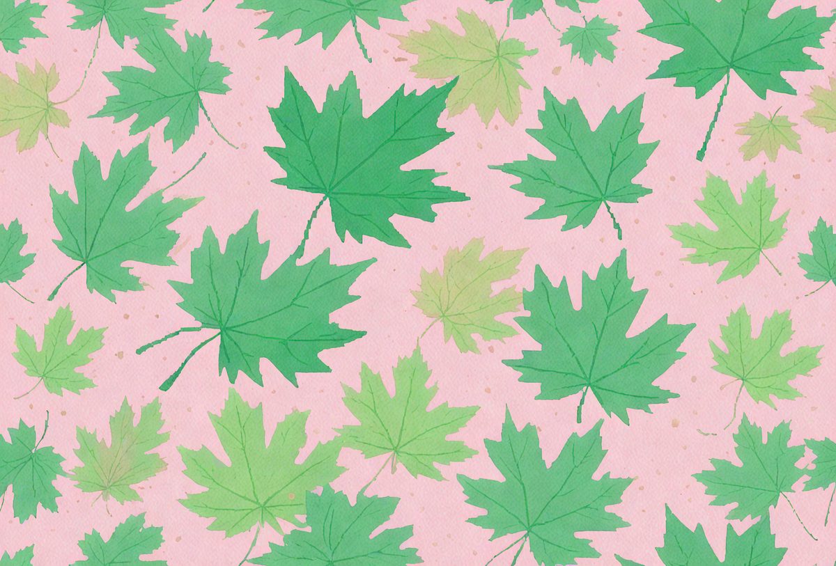 freepik__pixel-art-closeup-pattern-of-vibrant-green-maple-l__59990_250515012018_pink_00001.png