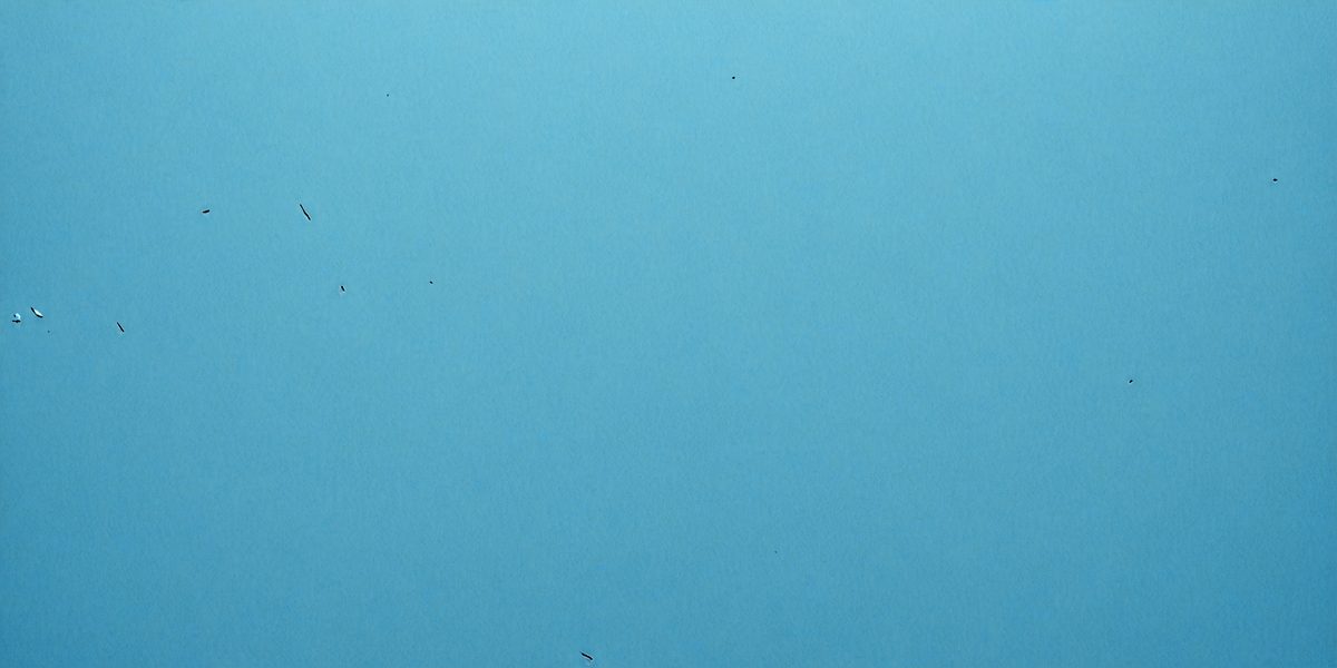 freepik__plastered-plastic-hot-blue-powder-color-wallpaper-__67799_250922180946_00001.png