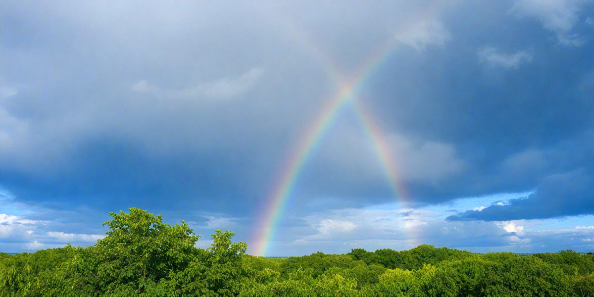 freepik__rainbow-clouds-forming-above-a-lush-green-forest-a__26409_250925032157_00001.png