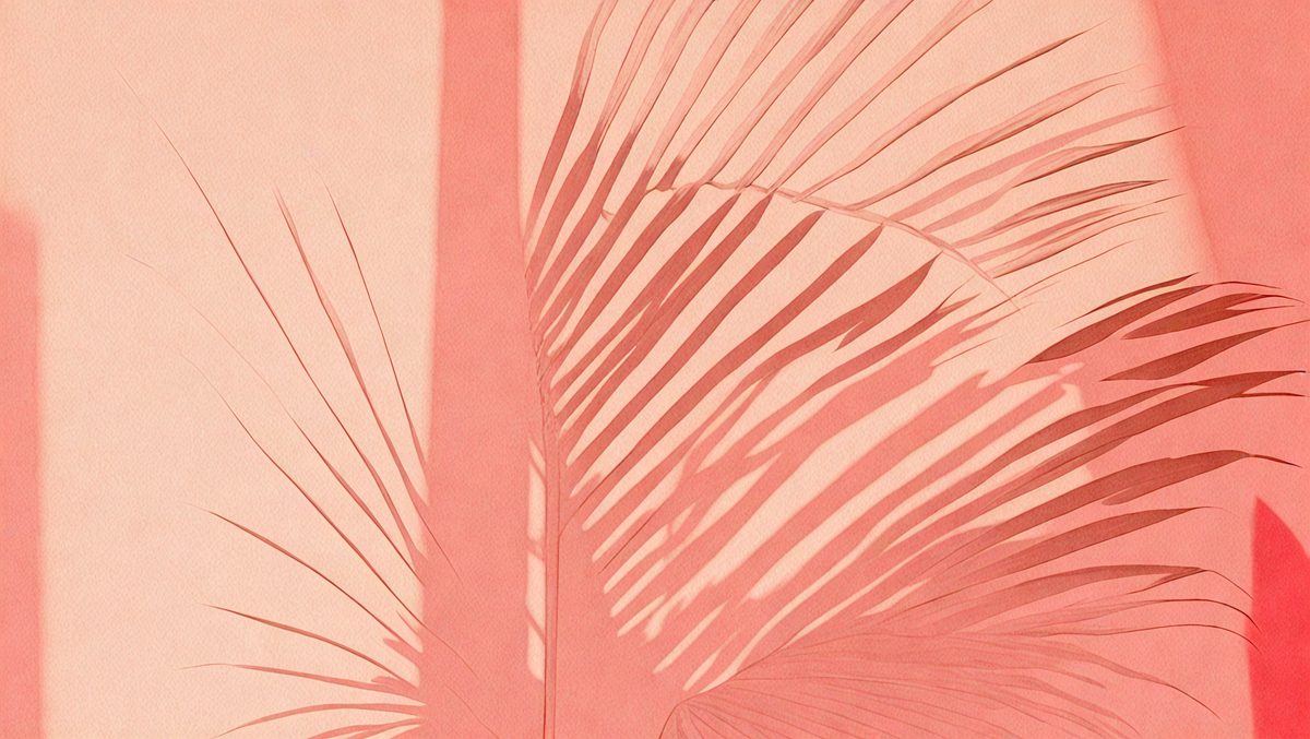 freepik__sketch-lines-pink-palm-leaf-shadow-on-a-lined-pink__97014_250515100545_pink_00001.png