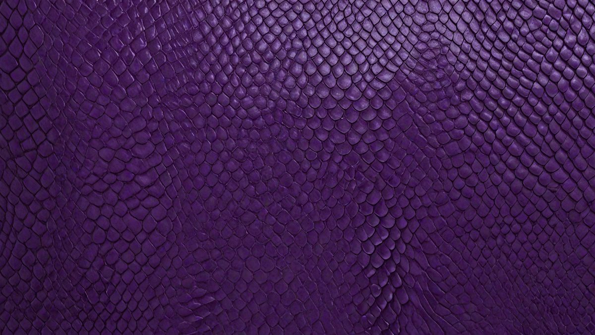 freepik__snake-skin-texture-dark-violet-color__87725_251016114205_00001.png