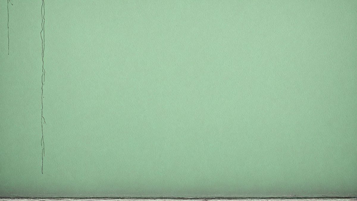 freepik__soft-green-painted-concrete-cement-texture-wall-ba__27641_250509115751_Green_00001.png